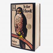 Hawkfeathers