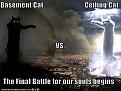 Click image for larger version

Name:	funny-pictures-basement-cat-vs-ceiling-cat.jpg
Views:	392
Size:	32.7 KB
ID:	351274