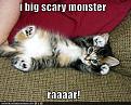 Click image for larger version

Name:	funny-pictures-kitten-is-a-monster.jpg
Views:	210
Size:	49.4 KB
ID:	351338